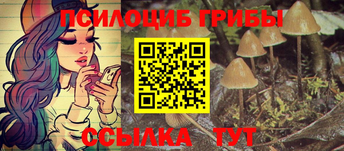 Галлюциногенные грибы Psilocybe  Галлюциногенные грибы Magic Shrooms  Вход с VPN  Богородск 