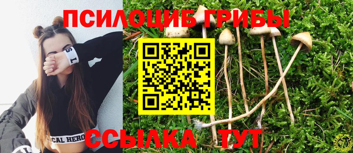 Галлюциногенные грибы мицелий Богородск